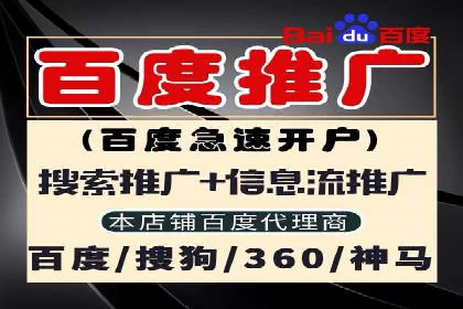 竞价广告投放策略，代运营公司的成功实践